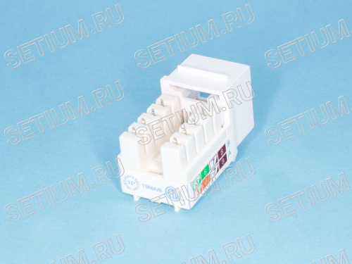EKTN-D-04 Модуль RJ-45 8P8C кат.5e, Keystone, универсальный, компакт, белый, PCnet фото 3
